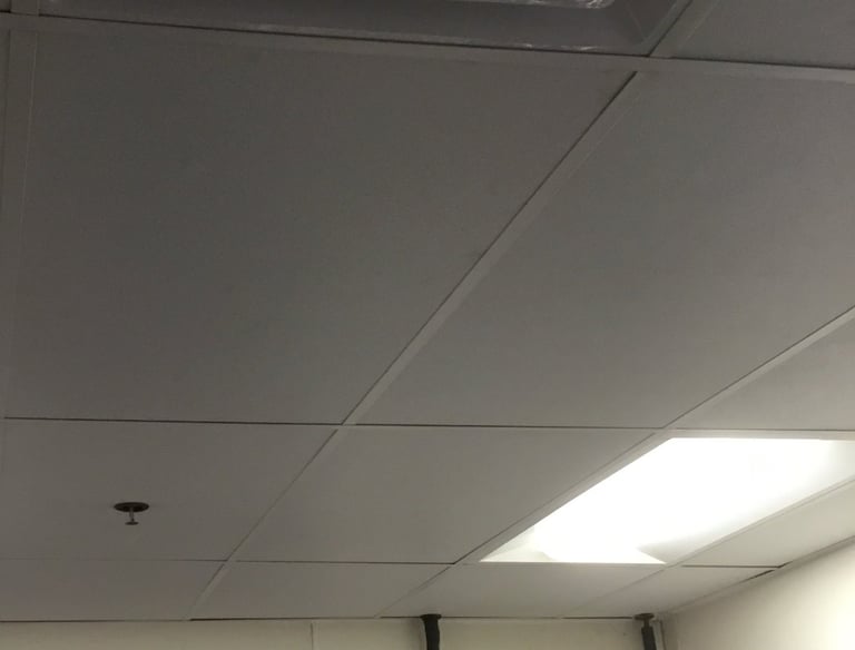 Drop Ceiling Repairs / Replacements